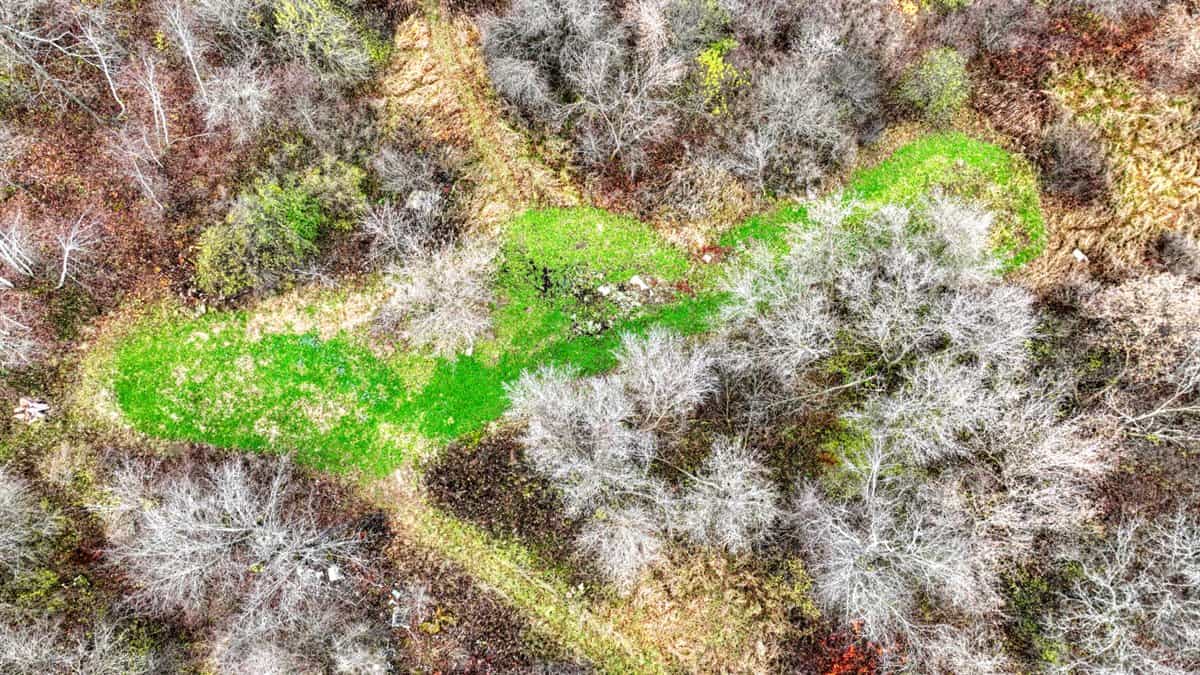 32 Acres with Endless Possibilities in Monroe County WI