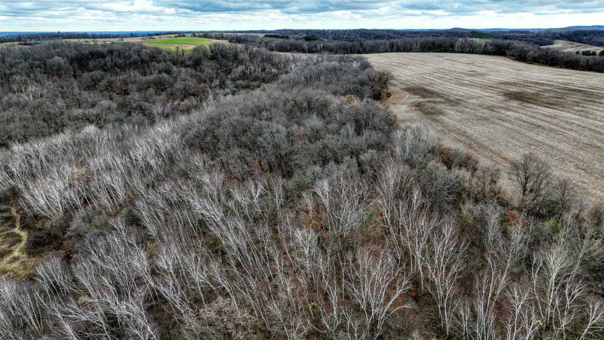 32 Acres with Endless Possibilities in Monroe County WI