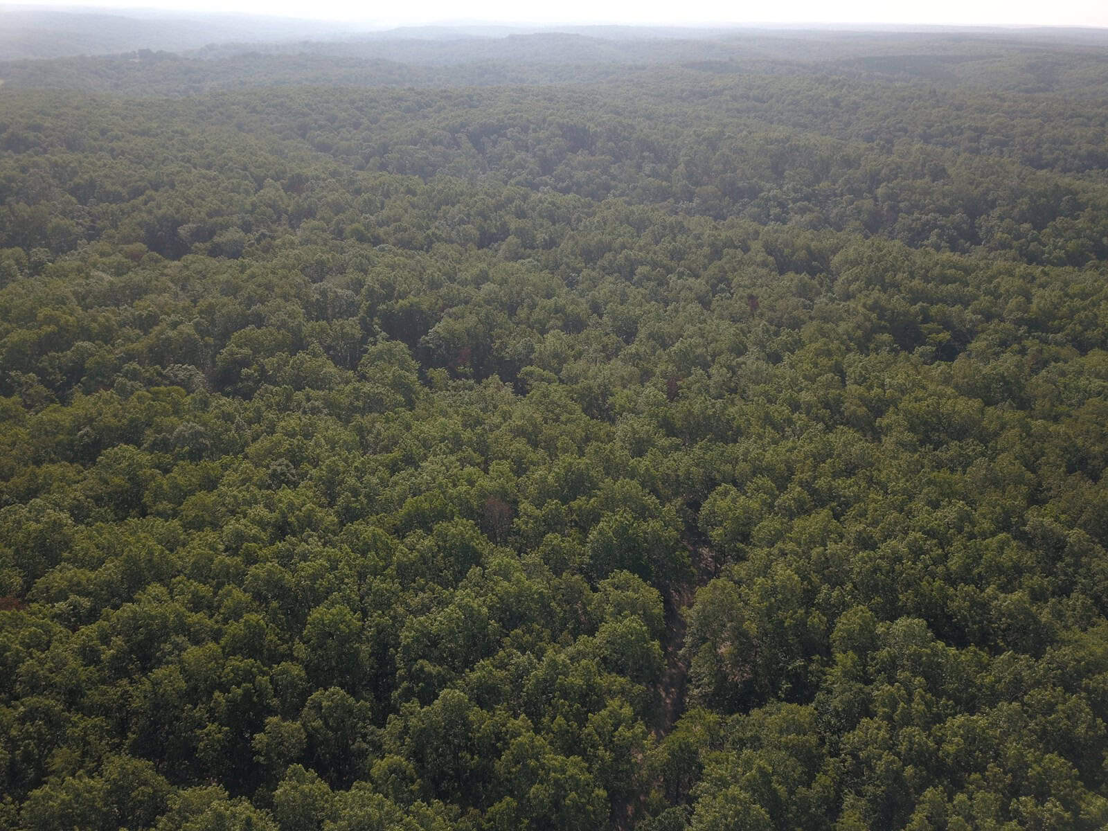 85 +/- acre property nestled on CR 4270 in Salem, MO!