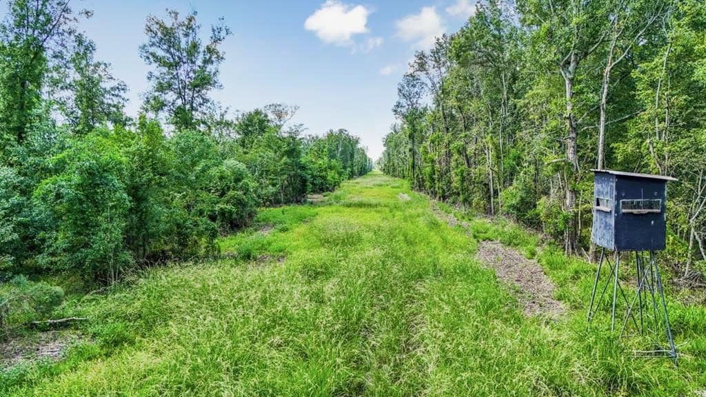 196 Acre Sportsman’s Paradise Pointe Coupee Parish, LA