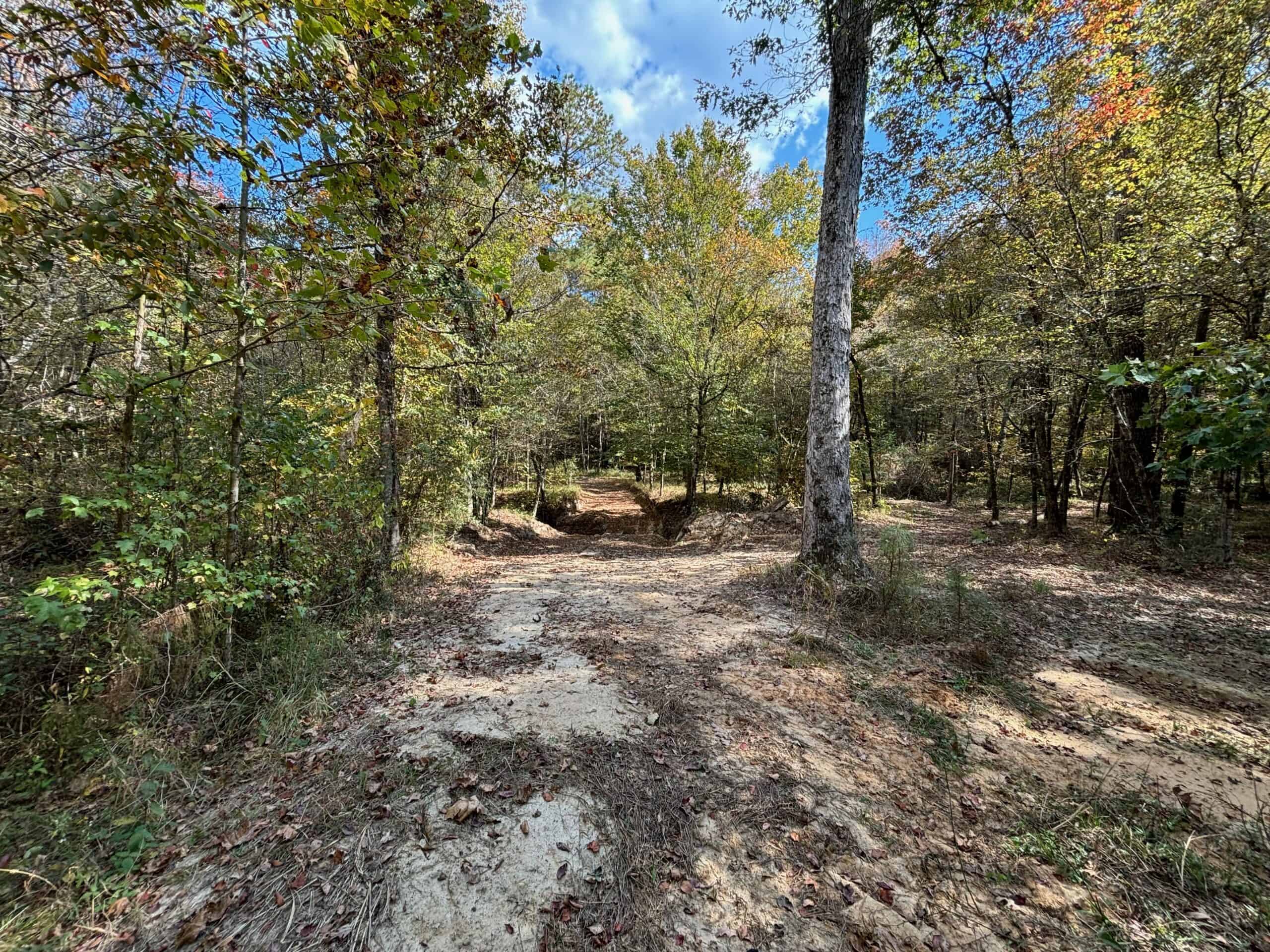175 Acres Hunting and Timberland for Sale Franklin Co. MS