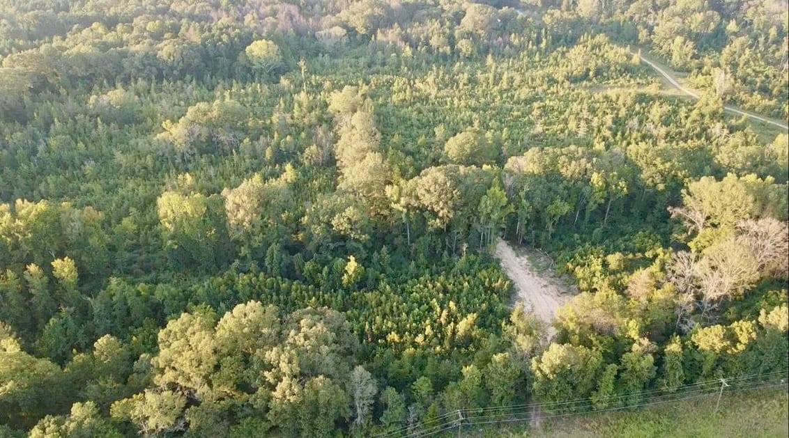 100 Acres of Prime Development or Country Homesite