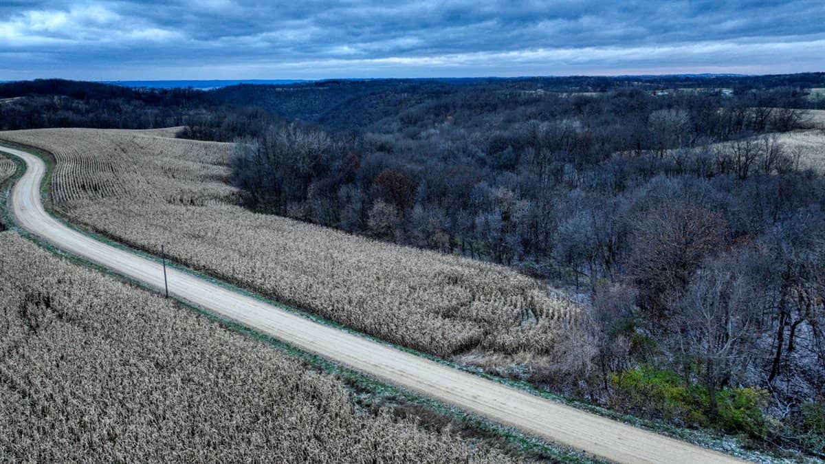 4.5+/- acres tract with additional land available Crawford Cty WI