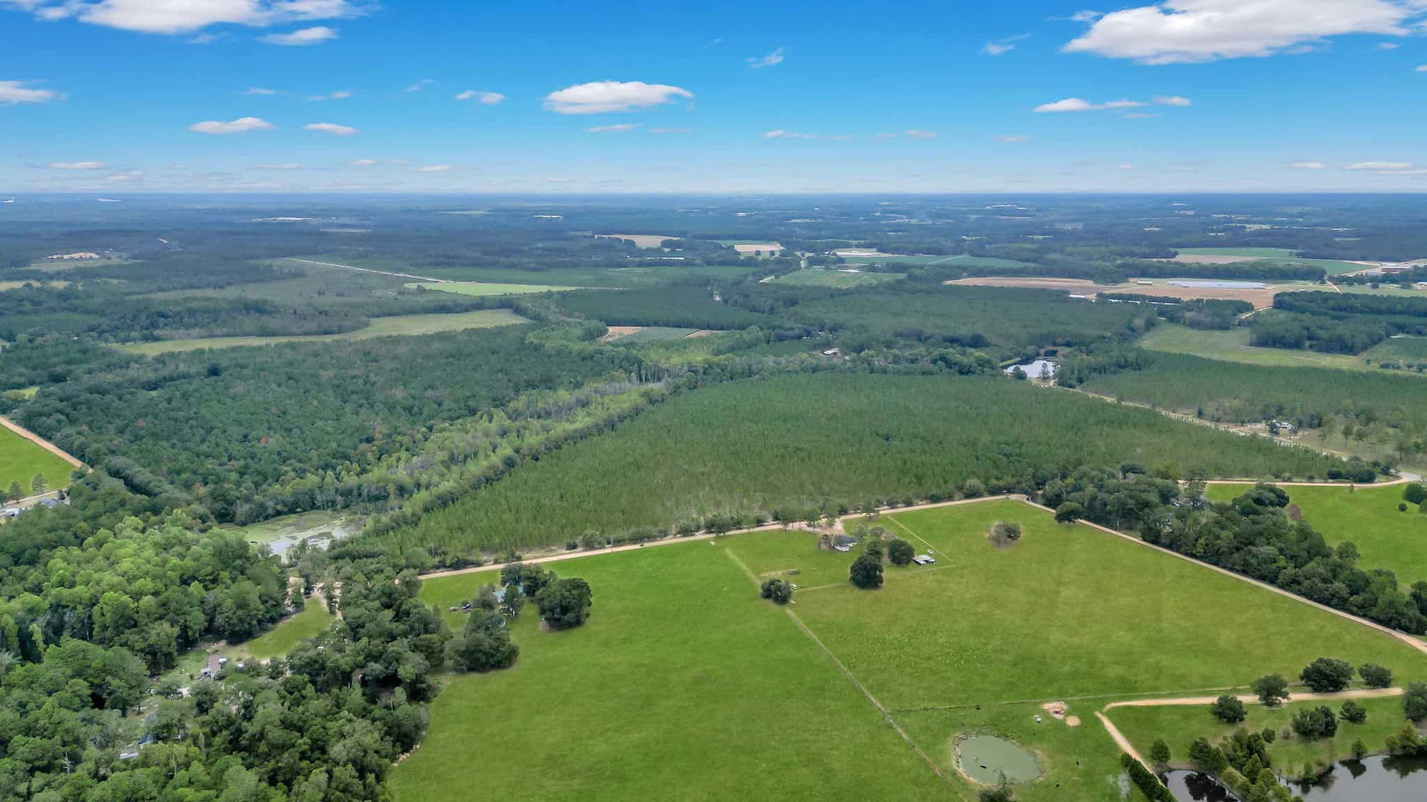 Woodpecker Trail Olive Farm for Sale