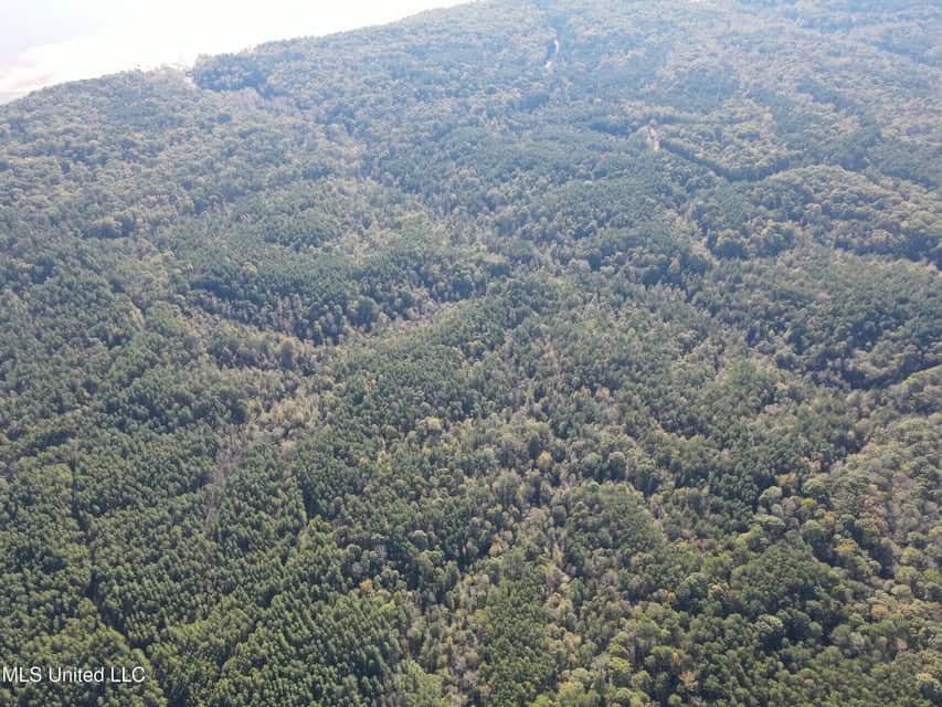Carver Point Timber Tract in Grenada Co at Grenada Lake