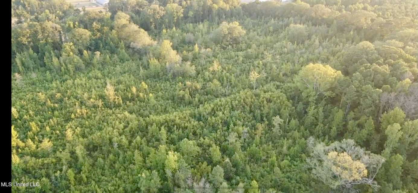 100 Acres of Prime Development or Country Homesite