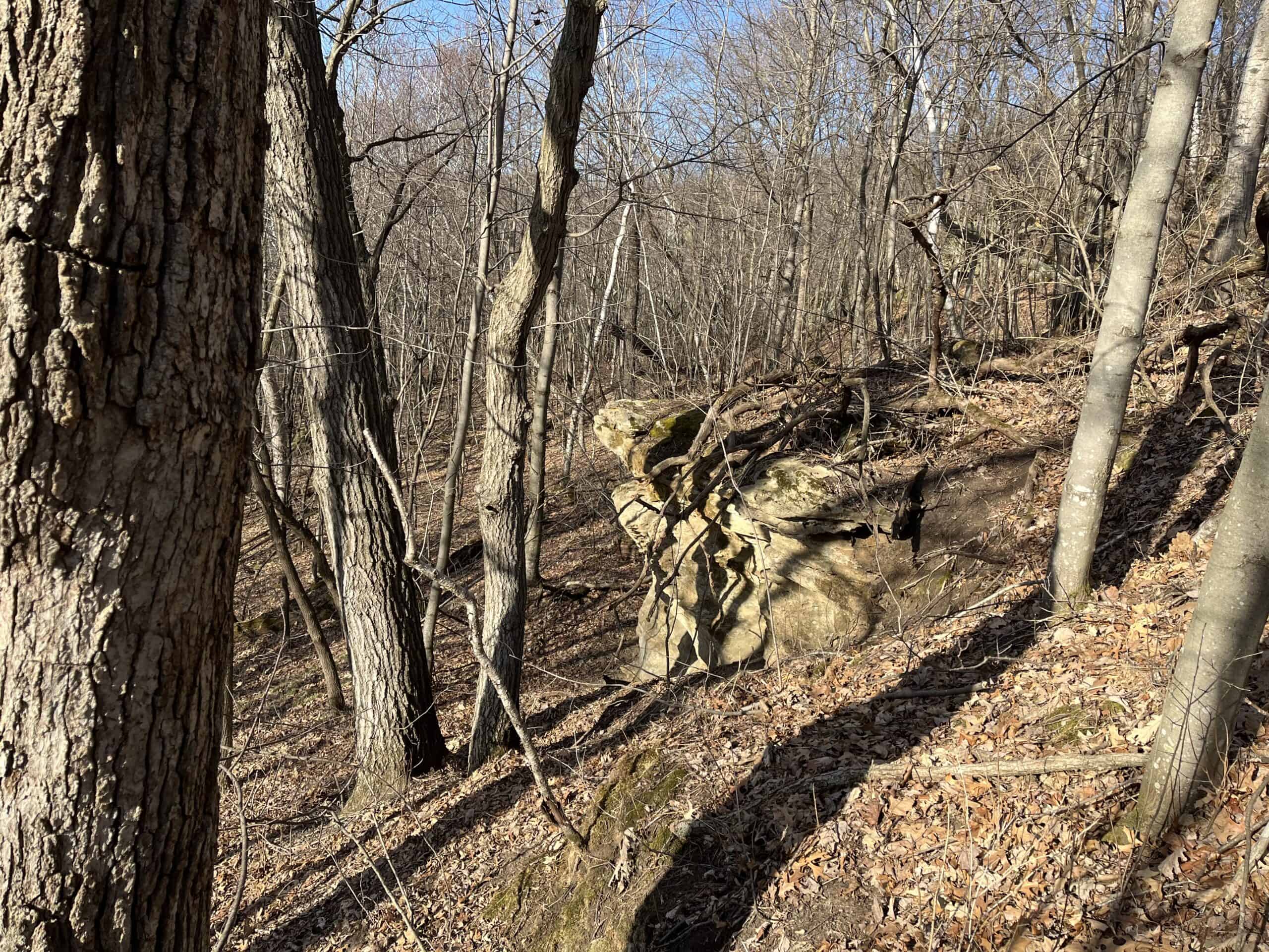 32 Acres with Endless Possibilities in Monroe County WI