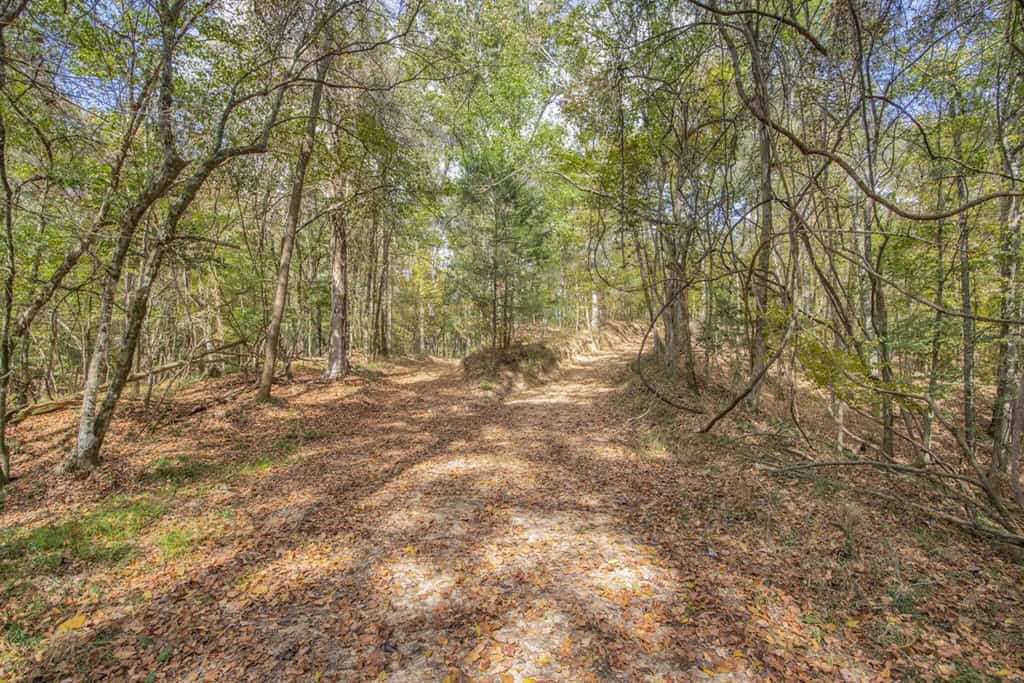 Legacy Property for Sale in Woodville, MS