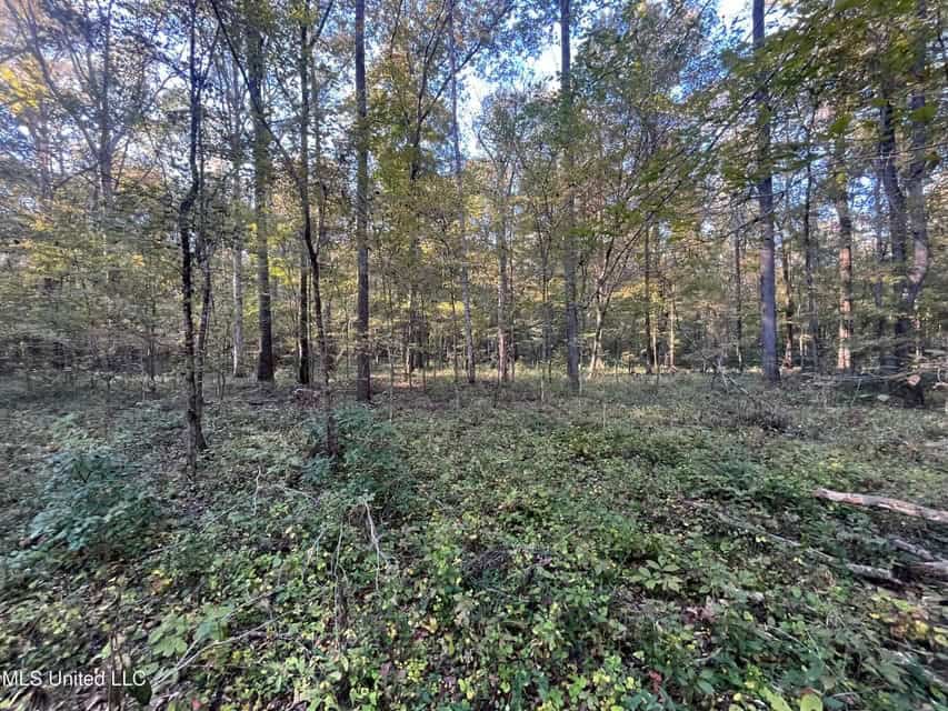 Great Hunting Tract in Bolton, MS for Sale