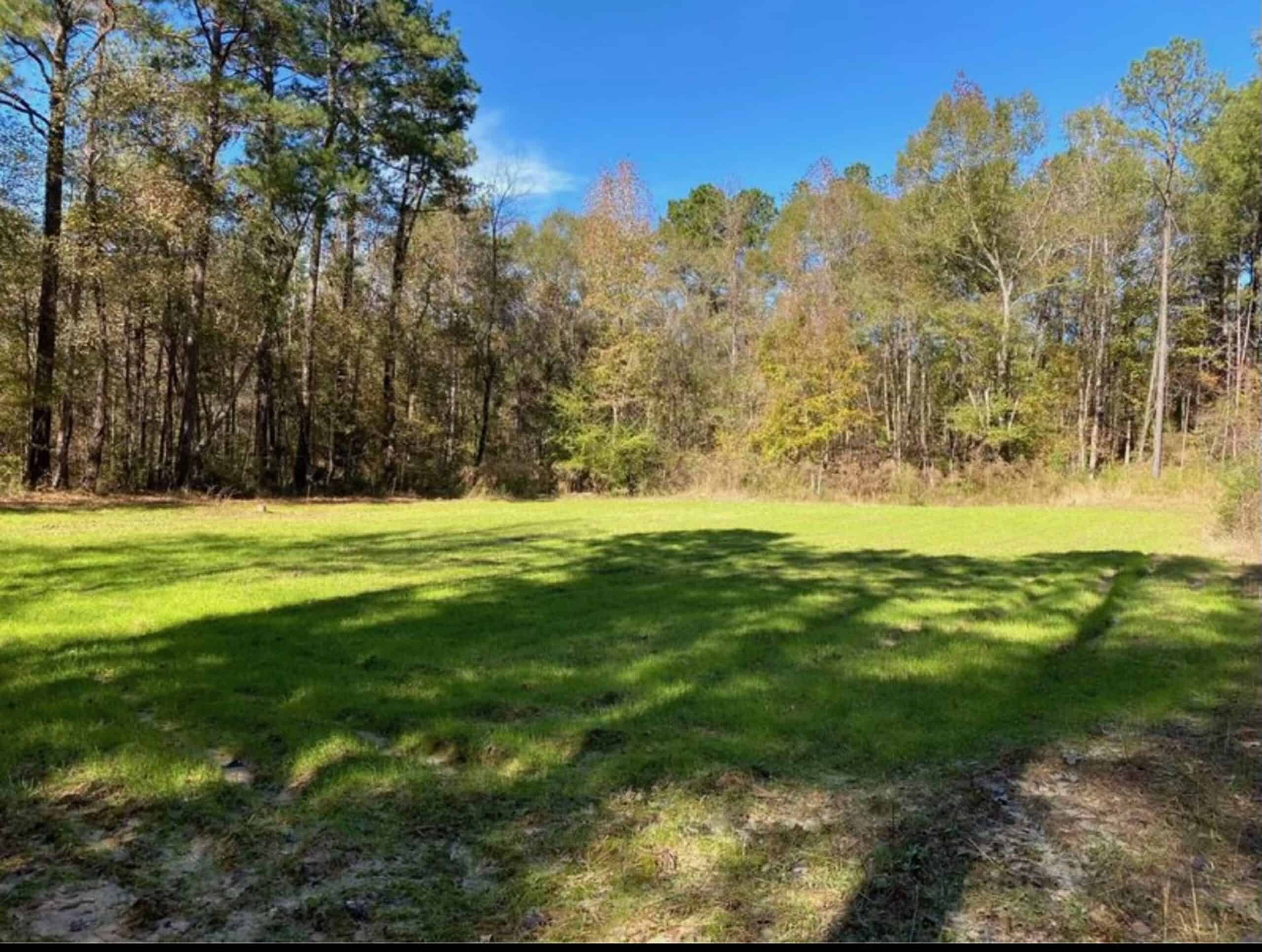 175 Acres Hunting and Timberland for Sale Franklin Co. MS