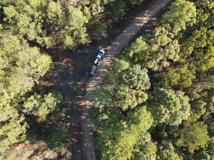 Carver Point Timber Tract in Grenada Co at Grenada Lake