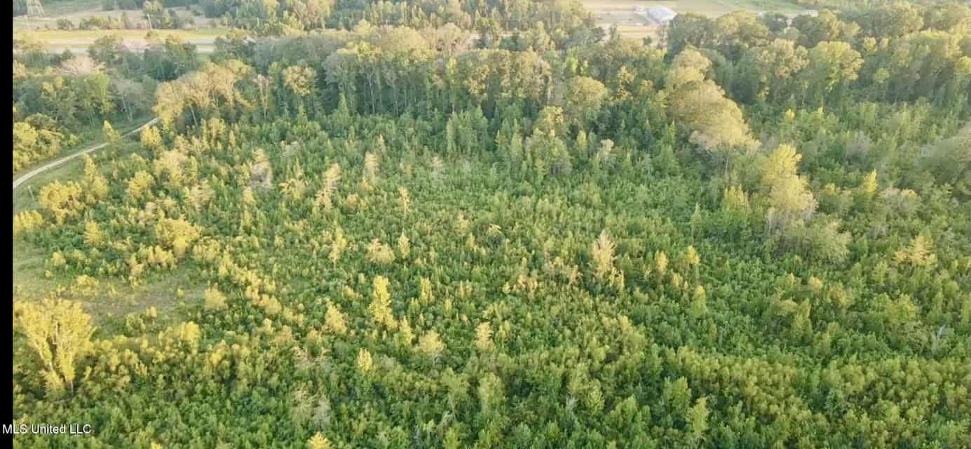 100 Acres of Prime Development or Country Homesite