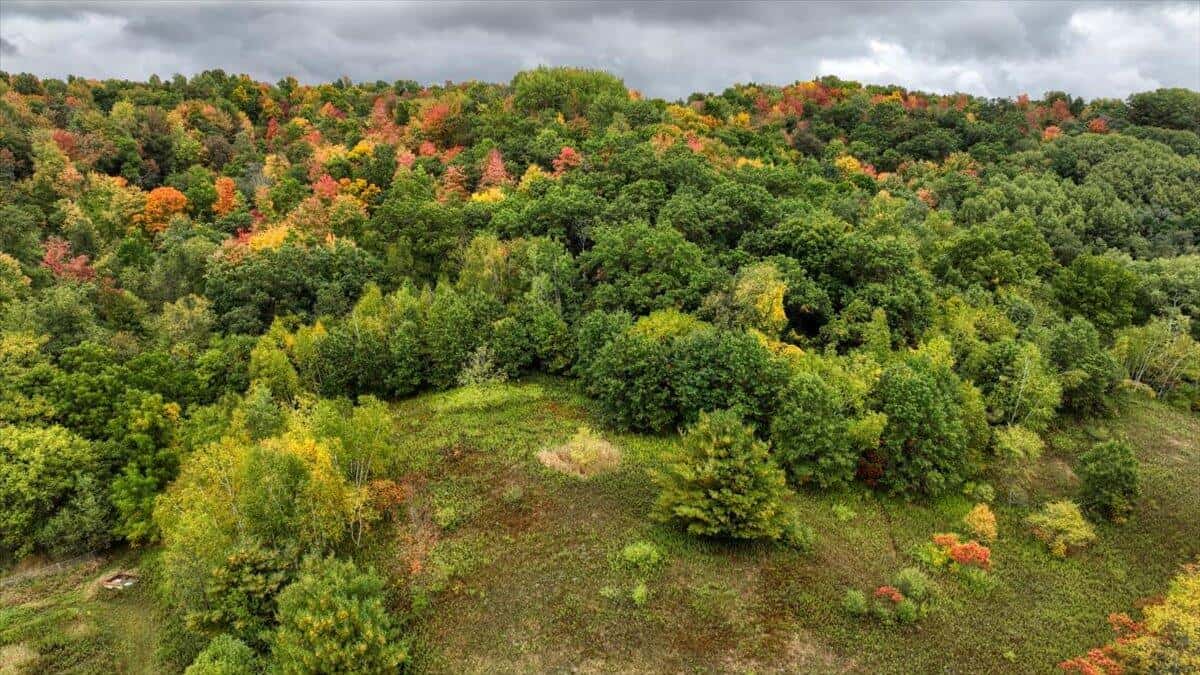 Monroe County Hunting Property 44+/- Acres