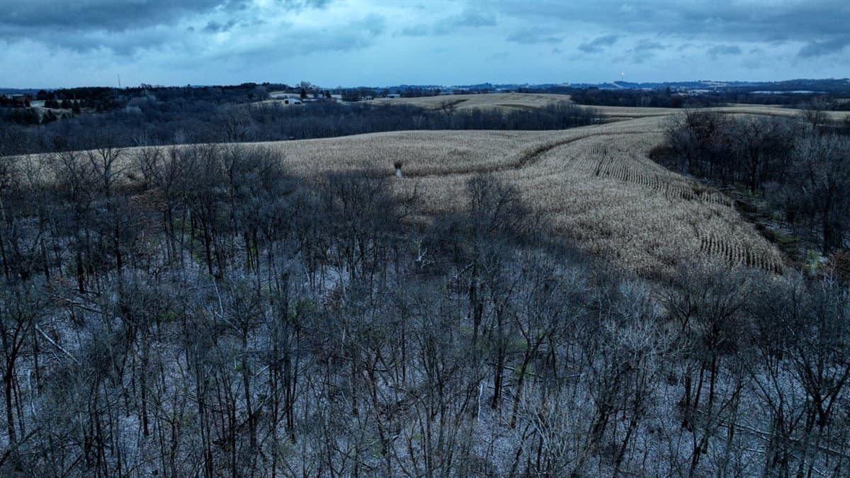 52+/- Acre Property Located on Lucky Lane in Crawford County, WI