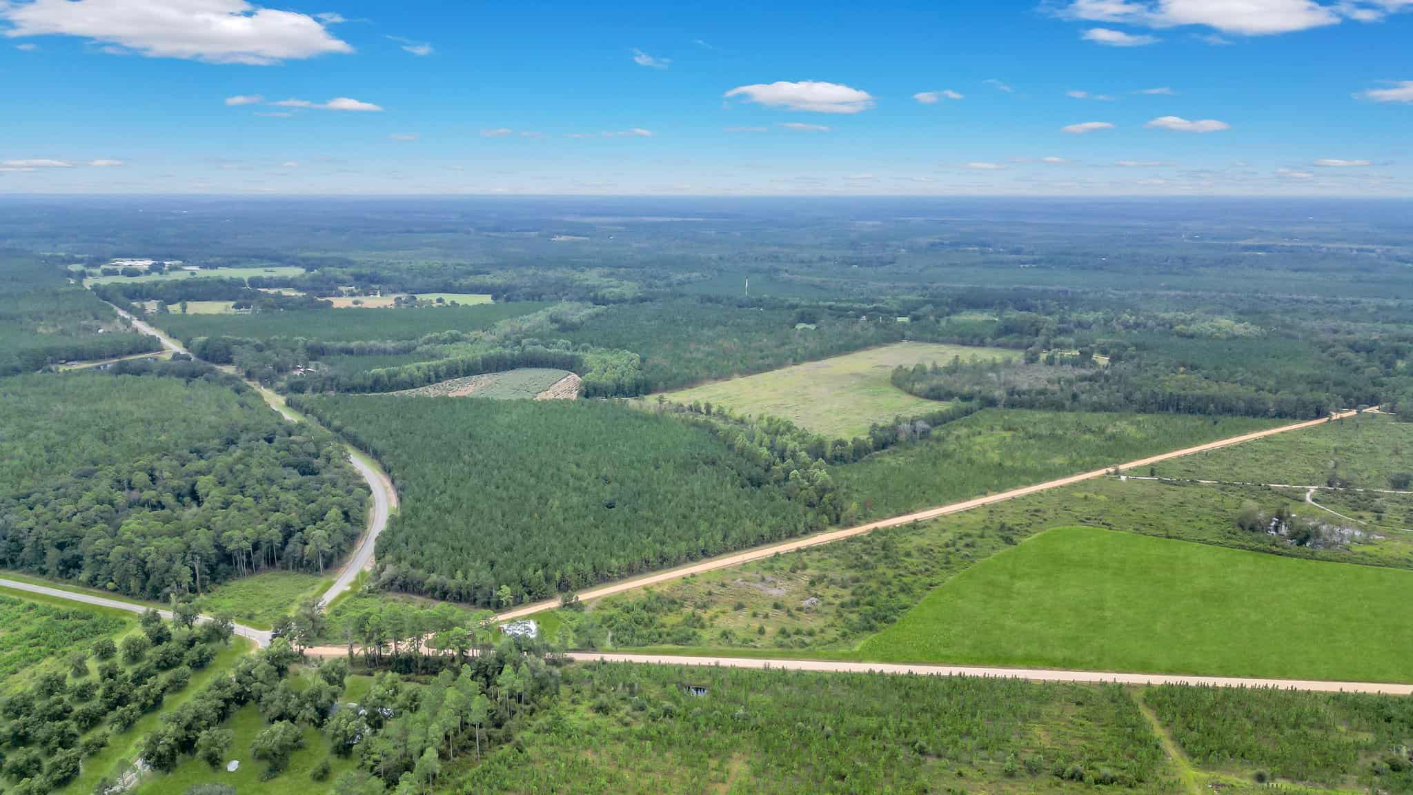 Woodpecker Trail Olive Farm for Sale
