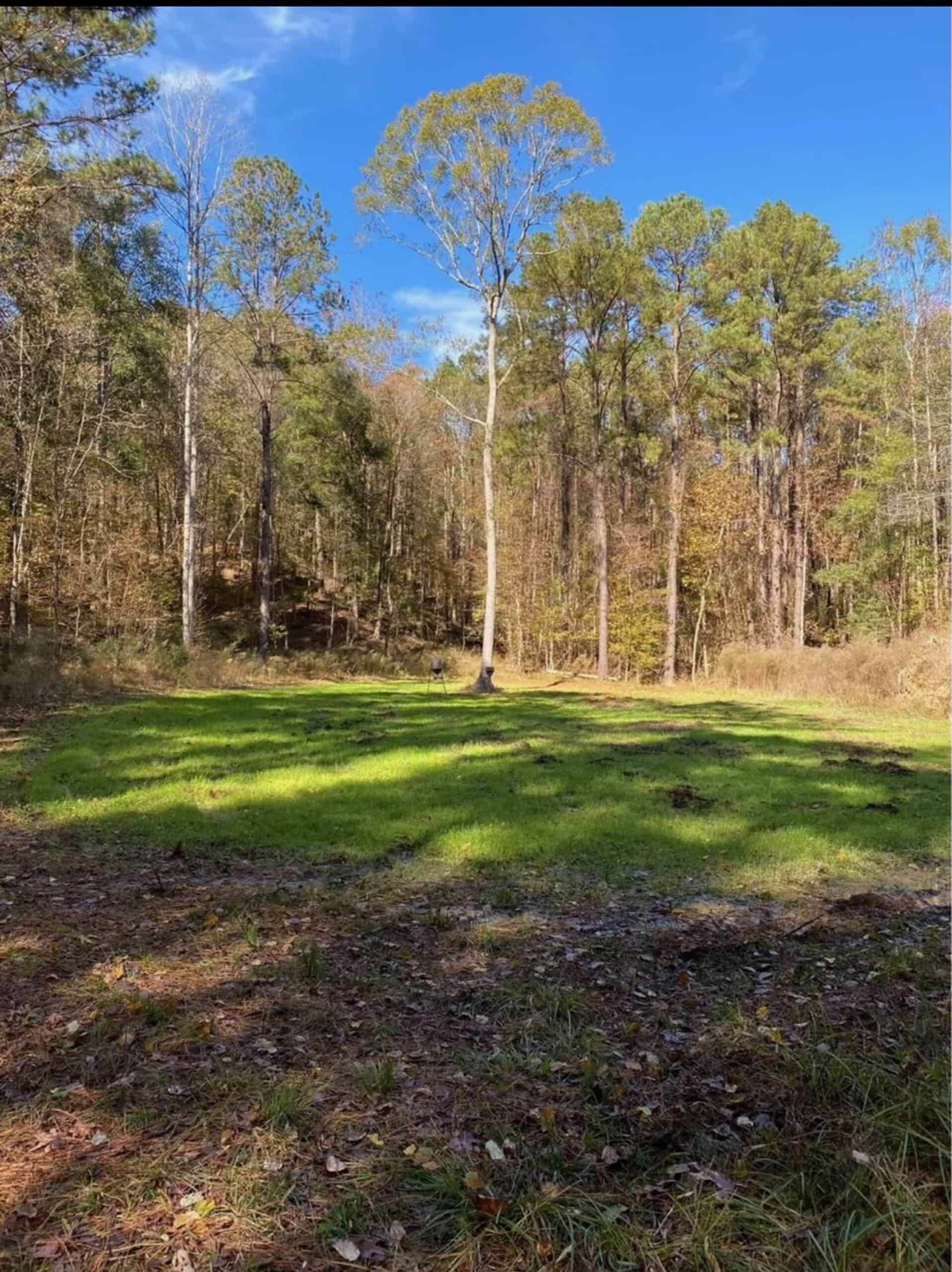 175 Acres Hunting and Timberland for Sale Franklin Co. MS