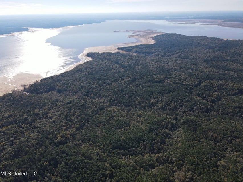 Carver Point Timber Tract in Grenada Co at Grenada Lake