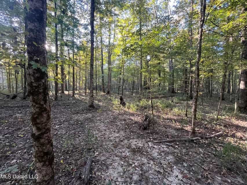 Great Hunting Tract in Bolton, MS for Sale