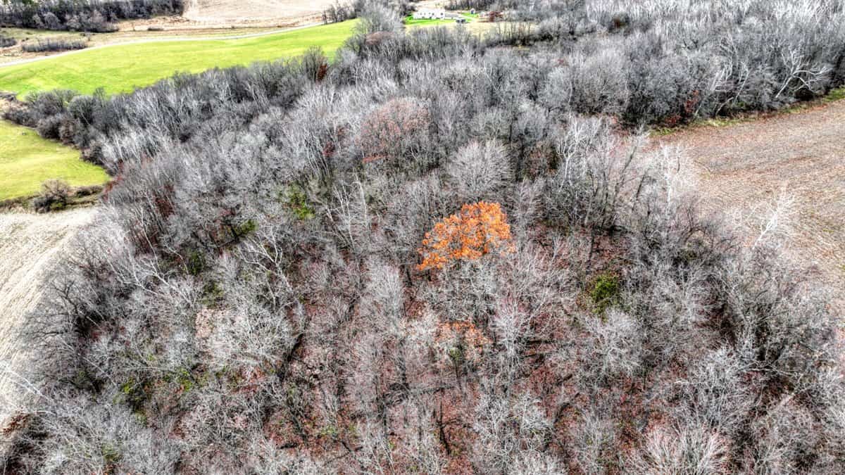 32 Acres with Endless Possibilities in Monroe County WI