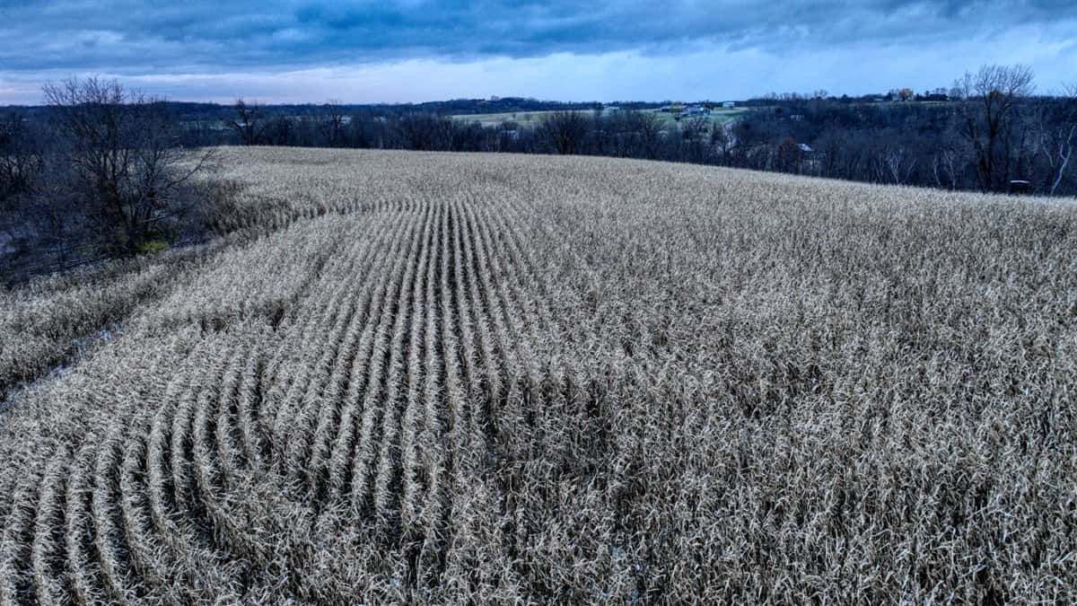 52+/- Acre Property Located on Lucky Lane in Crawford County, WI
