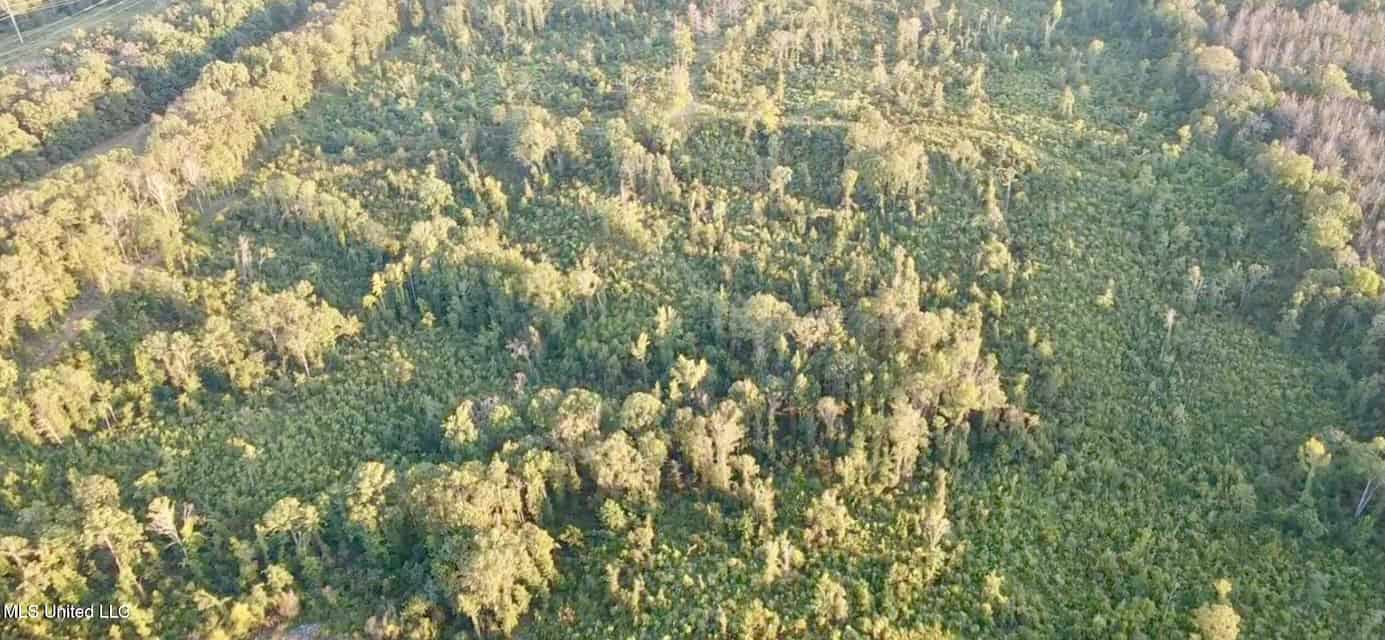 100 Acres of Prime Development or Country Homesite