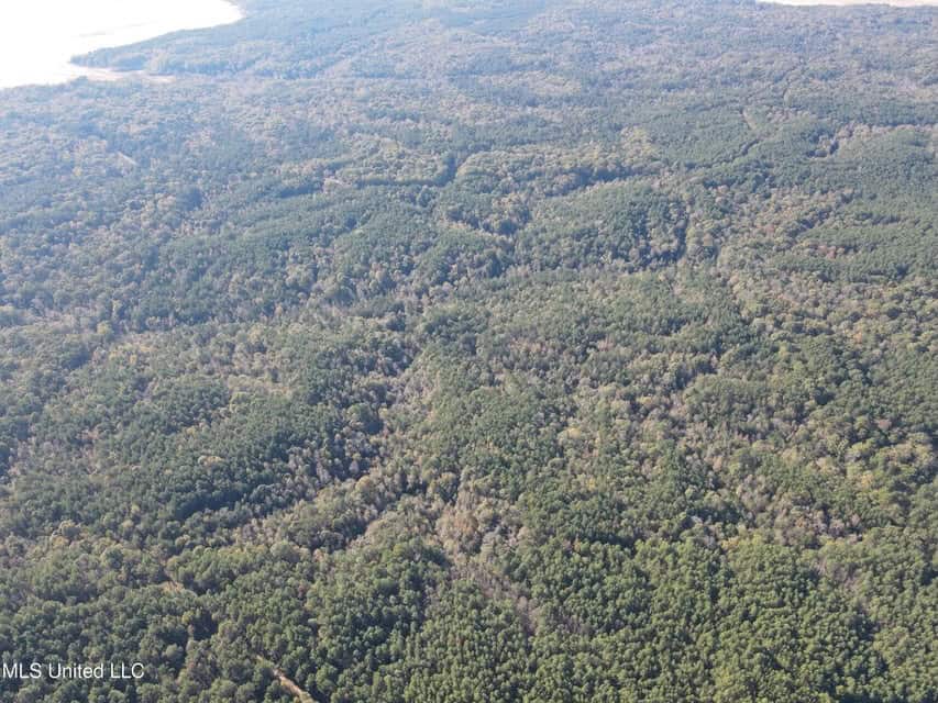 Carver Point Timber Tract in Grenada Co at Grenada Lake