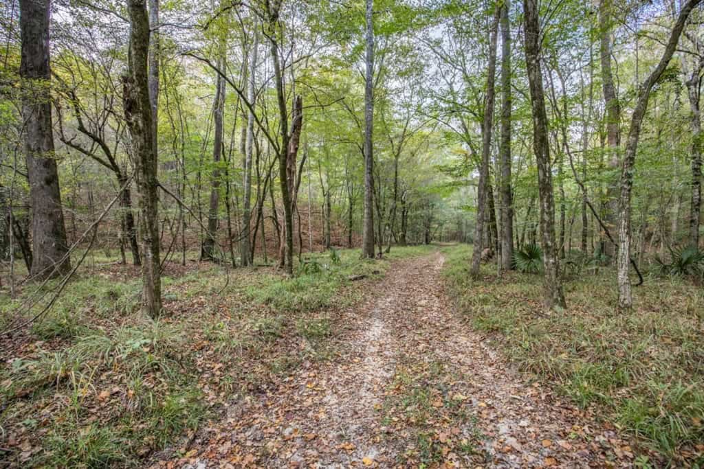 Legacy Property for Sale in Woodville, MS