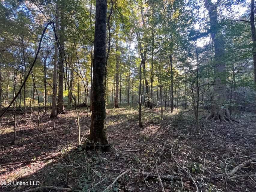 Great Hunting Tract in Bolton, MS for Sale
