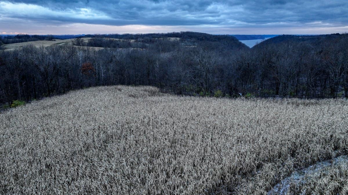 52+/- Acre Property Located on Lucky Lane in Crawford County, WI