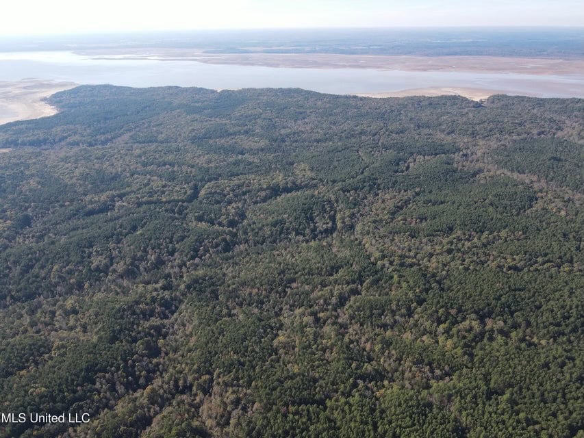 Carver Point Timber Tract in Grenada Co at Grenada Lake