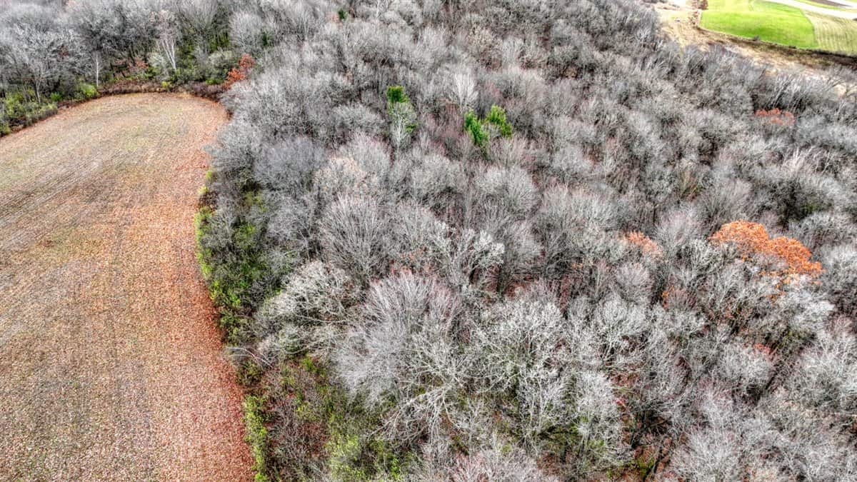 32 Acres with Endless Possibilities in Monroe County WI
