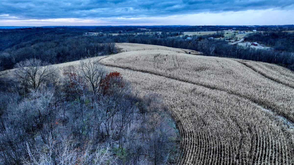 52+/- Acre Property Located on Lucky Lane in Crawford County, WI