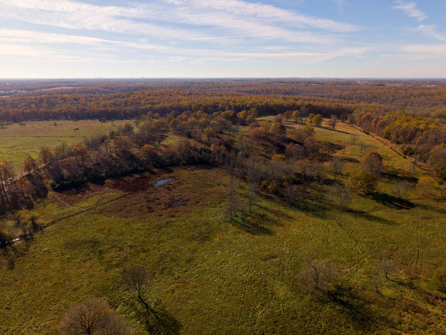Well Maintained 144 Acre Farm in West Plains, Missouri