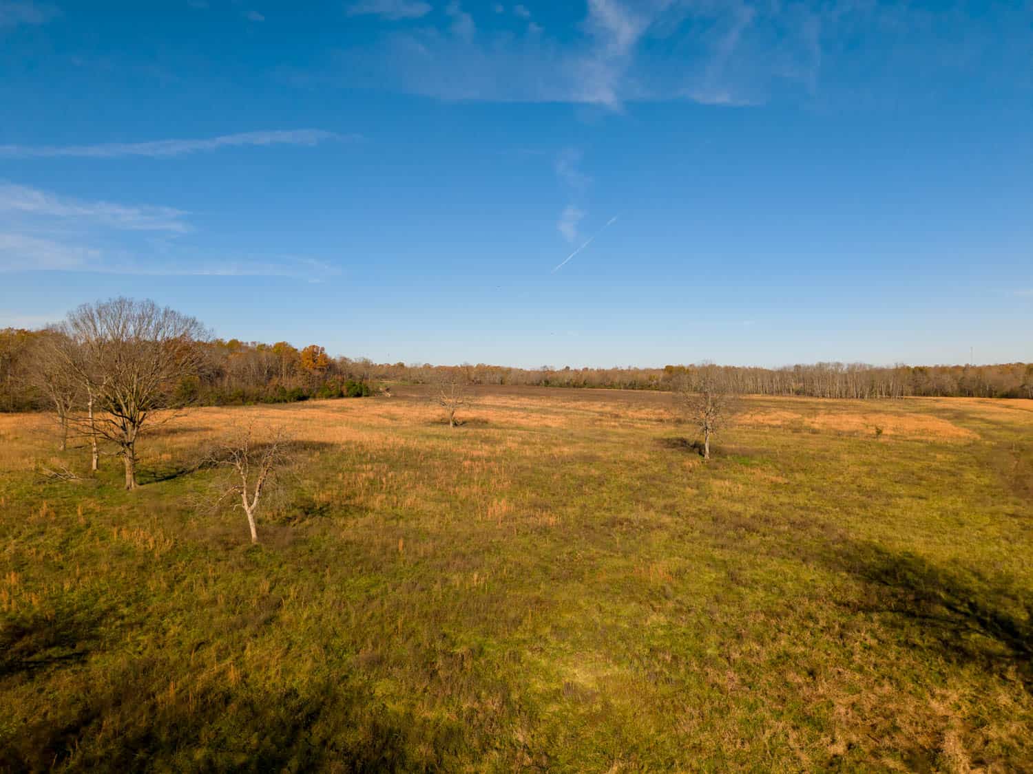 Well Maintained 144 Acre Farm in West Plains, Missouri