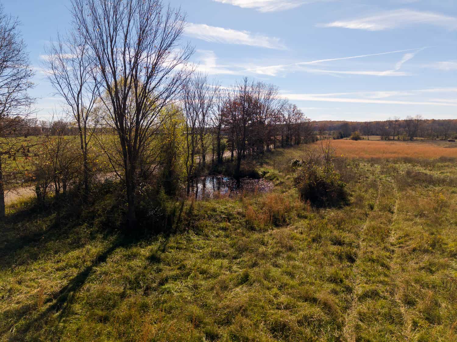 Well Maintained 144 Acre Farm in West Plains, Missouri