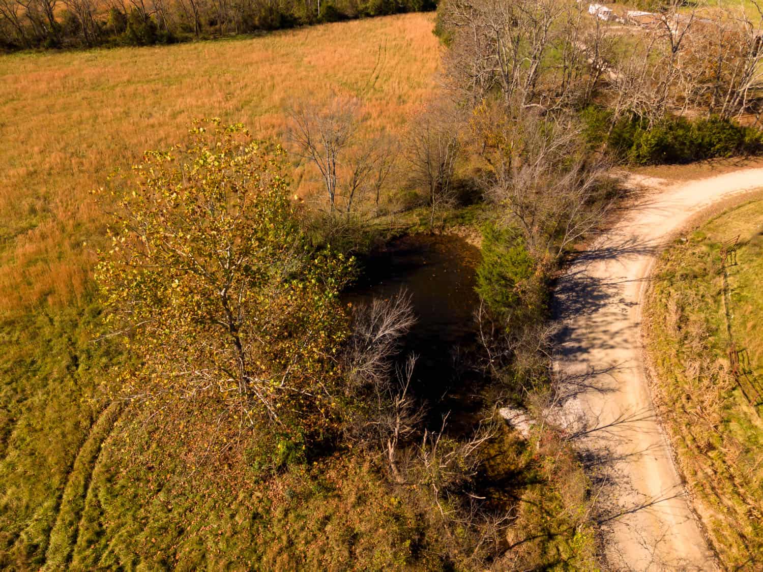 Well Maintained 144 Acre Farm in West Plains, Missouri