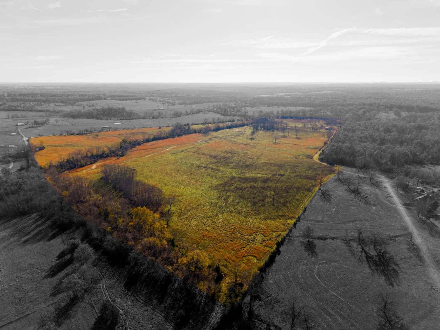 Well Maintained 144 Acre Farm in West Plains, Missouri