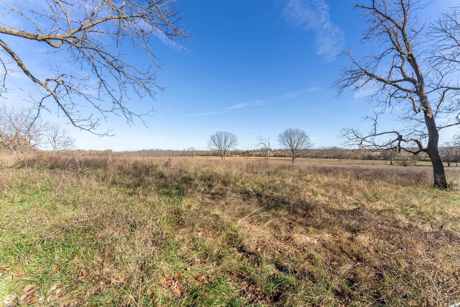 Well Maintained 144 Acre Farm in West Plains, Missouri
