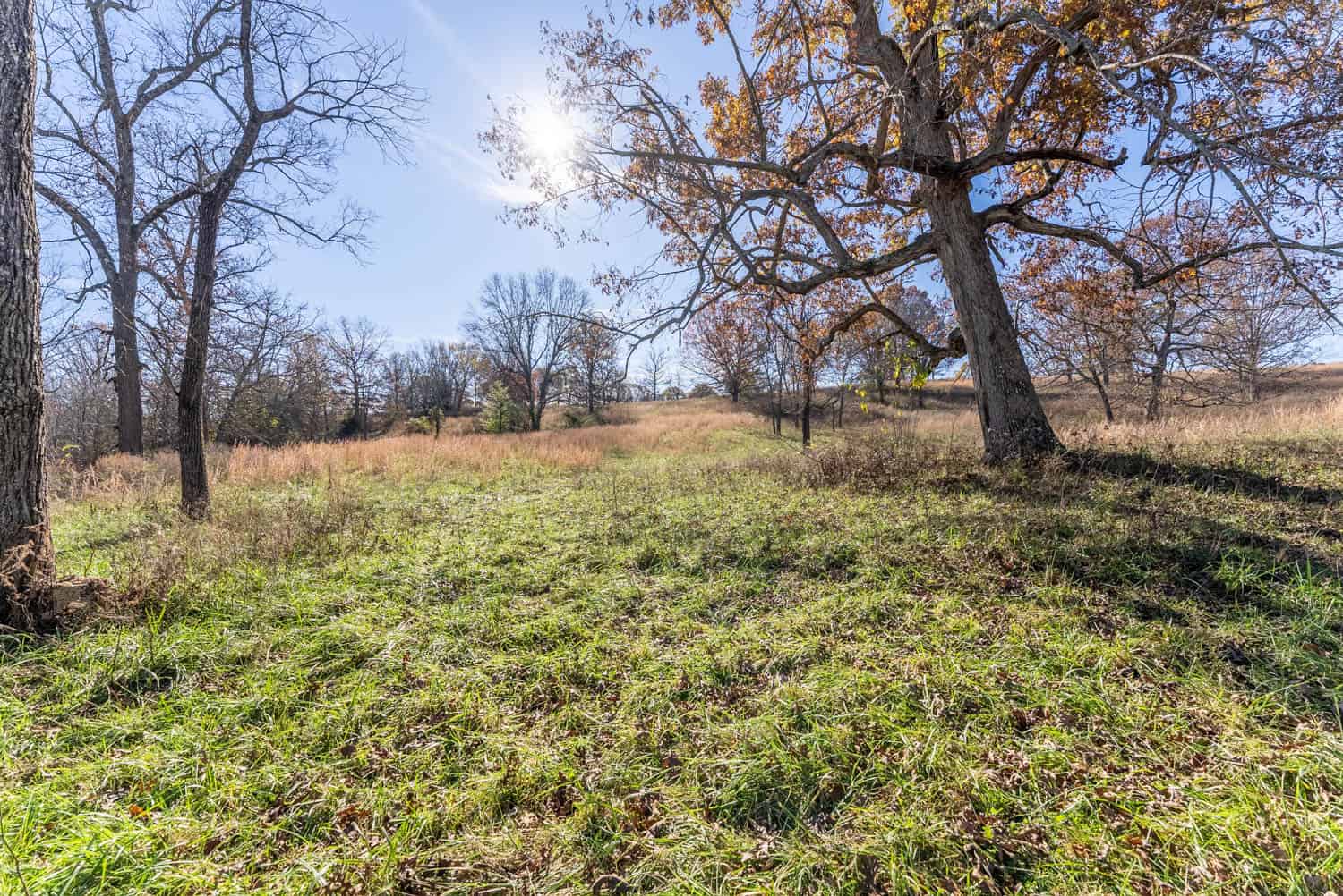 Well Maintained 144 Acre Farm in West Plains, Missouri
