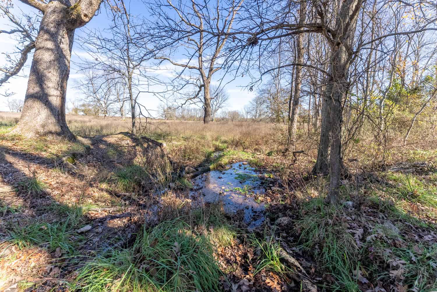 Well Maintained 144 Acre Farm in West Plains, Missouri