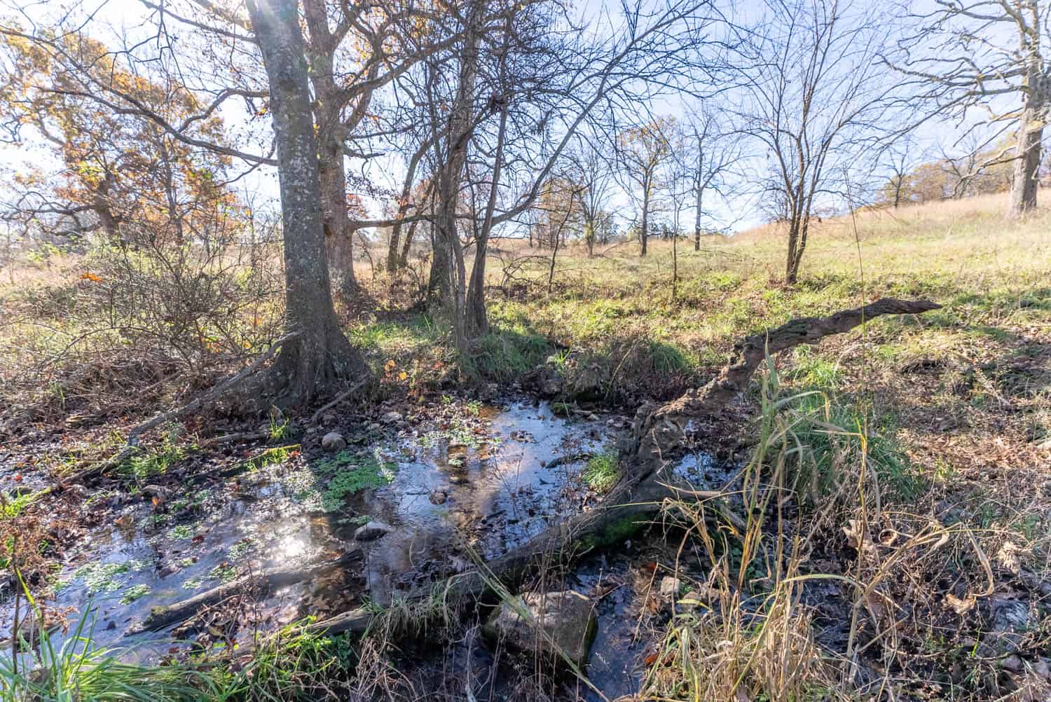 Well Maintained 144 Acre Farm in West Plains, Missouri