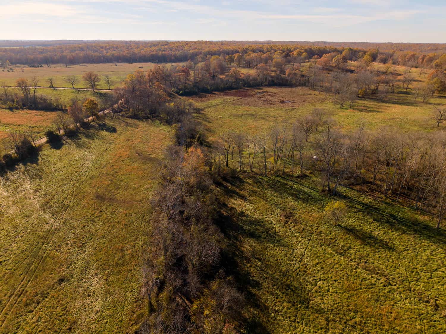 Well Maintained 144 Acre Farm in West Plains, Missouri