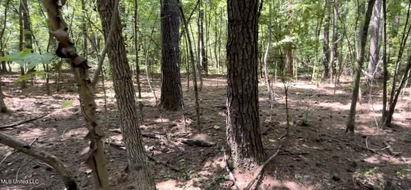 100 Acres of Prime Development or Country Homesite