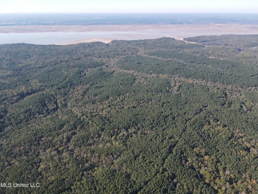 Carver Point Timber Tract in Grenada Co at Grenada Lake
