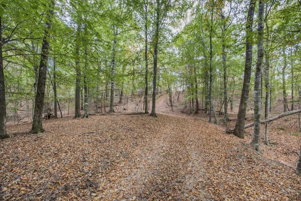 Legacy Property for Sale in Woodville, MS