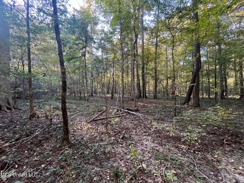 Great Hunting Tract in Bolton, MS for Sale