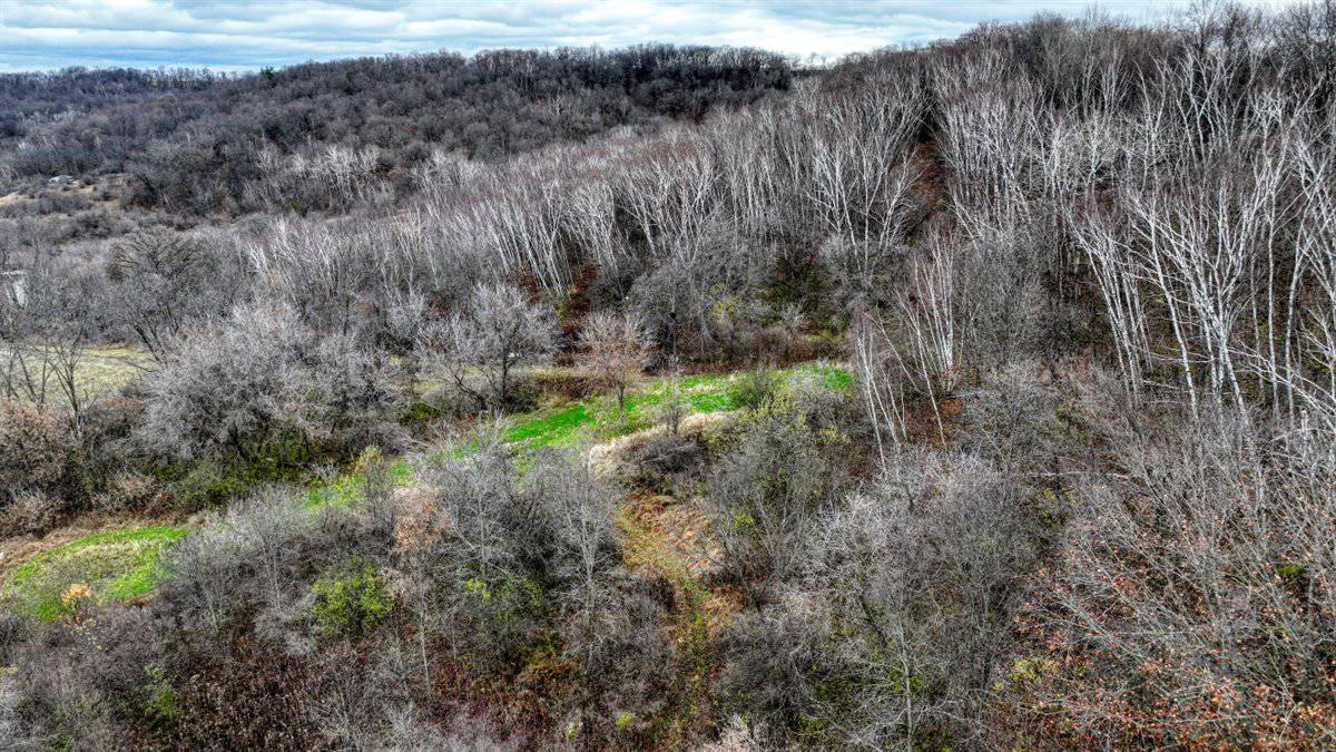 32 Acres with Endless Possibilities in Monroe County WI