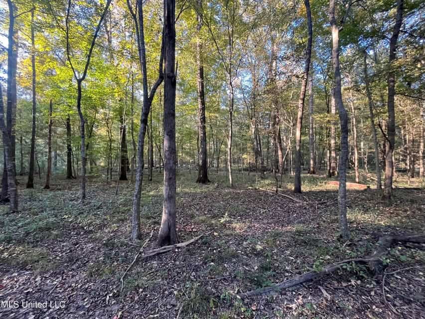 Great Hunting Tract in Bolton, MS for Sale