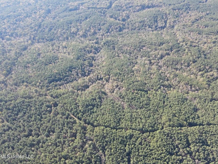 Carver Point Timber Tract in Grenada Co at Grenada Lake