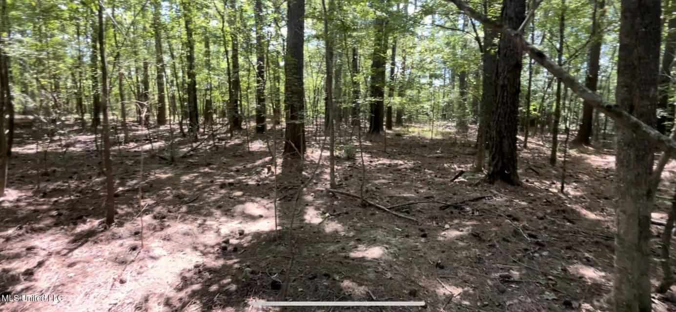 100 Acres of Prime Development or Country Homesite
